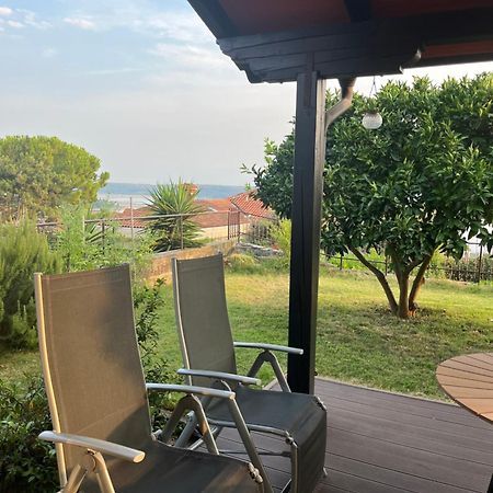 Apartment Orange Tree Portoroz Exterior photo